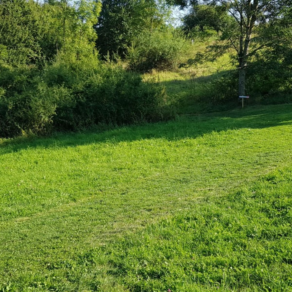 Bogenschießen 
