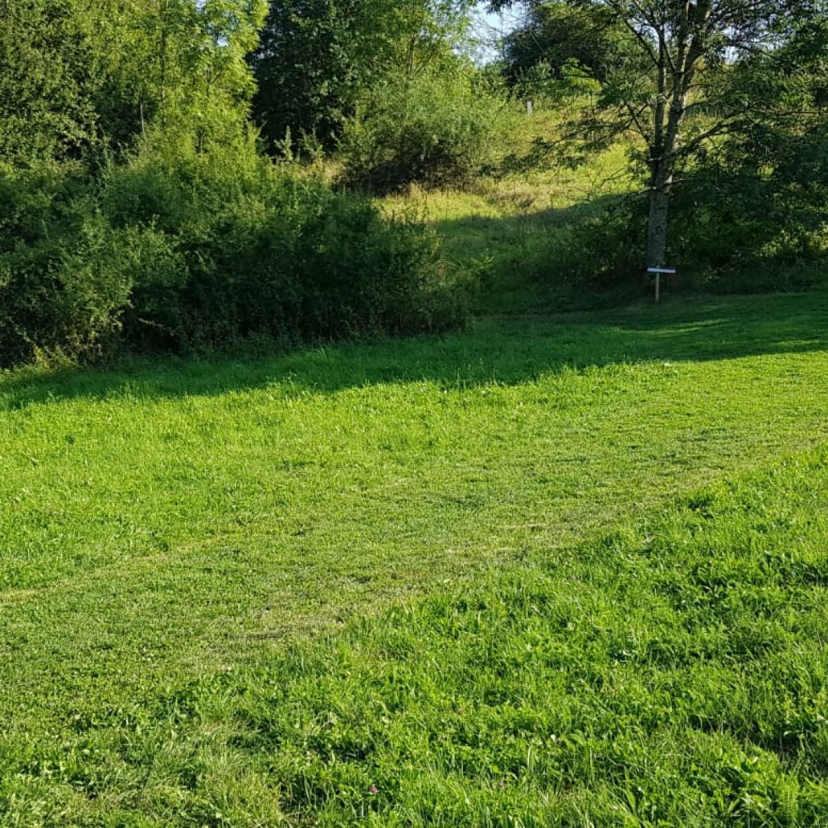 Bogenschießen